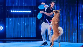 Românii au talent 2020: Dogs Of Anarchy