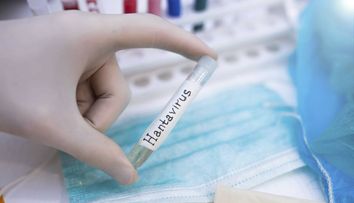 Tânărul diagnosticat cu hantavirus la Arad a fost externat. Medicii spun că și-a revenit complet