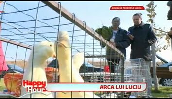 Nicoleta Luciu a avut parte de o surpriza de zile mari! Maruta i-a facut cadou o adevarata gradina zoologica
