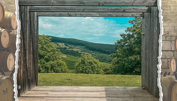 Când începe sezonul 4 Wine Trips România | Show-ul care promovează cramele din România va fi pe PROTV.RO și VOYO