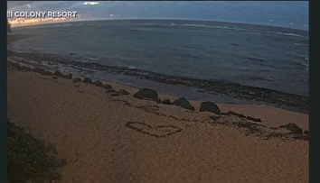 Momentul înfricoșător când apele se retrag de pe plajele din Hawaii, semn că urmează un tsunami. Scenele par desprinse din filme VIDEO