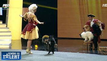 Inca o data, cateii au talent. Cel mai elaborat numar de dresura canina prezentat in sezonul 4 de 