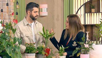 Cum readucem la viață plantele afectate? Specialistul ne explică
