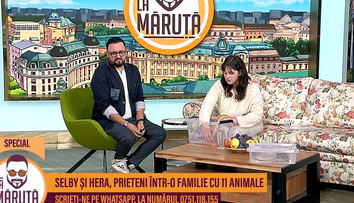 Cu un șarpe și o șopârlă, Andreea a venit în platou La Măruță! Măruță: 