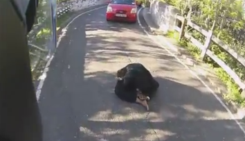 Toti au vazut ca le bloca drumul, dar nu au facut nimic. Ce s-a intamplat cand a aparut un motociclist