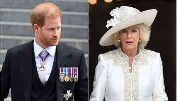 Cele patru cuvinte folosite de Prințul Harry ca să o descrie pe Camilla, mama lui vitregă. Așa a distrus pentru totdeauna relația dintre ei