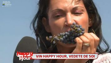 Vinul ca un viciu, cand e facut la Happy Hour. <span style=