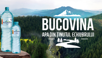 (P) Tu știi câte sinonime are cuvântul „ținut”?