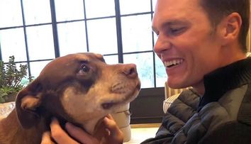 Tom Brady a dezvăluit că și-a clonat câinele! Junie este, de fapt, o clonă a câinelui său decedat, Lua. Cum a fost posibil și cât l-a costat toată procedura