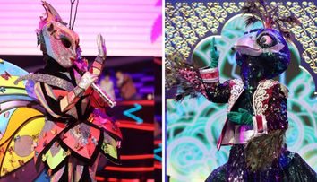 Duelul dintre Fluture și Păun. Cine și-a câștigat locul în finala Masked Singer România