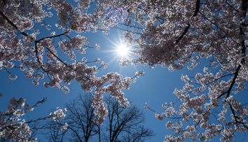 Cum va fi vremea de Paște. Meteorologii ANM au publicat prognoza meteo actualizată