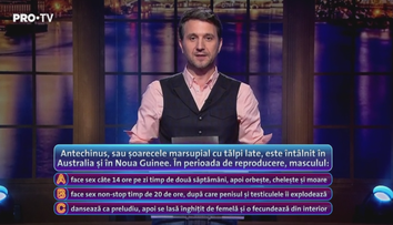 Andi Moisescu: 