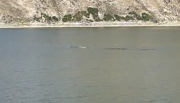 „Fratele” monstrului din Loch Ness, văzut într-un lac, în China: „O creatură lungă, argintie”