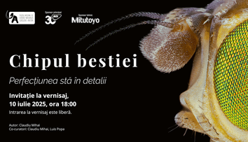 Muzeul Antipa deschide expoziția „Chipul bestiei. Perfecțiunea stă în detalii” – o incursiune spectaculoasă în lumea ascunsă a insectelor