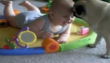 Cod roz de dragalasenie: Rasul molipsitor al unui bebelus atunci cand se joaca cu catelul familiei