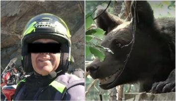Ce a apucat să facă motociclistul ucis de ursoaică pe Transfăgărășan înainte de a fi atacat de animal. Detalii despre tragedia care a îngrozit turiștii