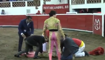 Toreadorul e rapus de taur iar fratele sau sare din tribuna ca sa il apere. Ce se intampla cand il vede taurul