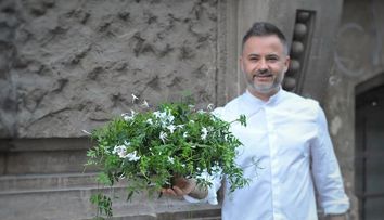 Nicu Bocancea celebrează Sărbătoarea Floriilor prin construcții florale urbane