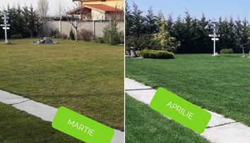 (P) Plan profesional de fertilizare: când, cum și cât îngrășământ aplici pentru un gazon verde și des în orice anotimp