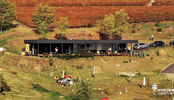 Wine Trips România | Velvet Winery, locul în care bei, iubești și vrei să uiți restul