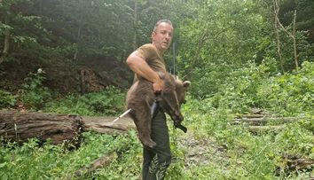 Unul dintre cei 3 pui ai ursoaicei ucise pe Transfăgărăşan a fost găsit: 