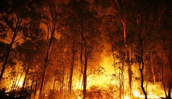 Un nou incendiu devastator în Grecia, sesizat de pompierii români! Locuințele au fost cuprinse de flăcări