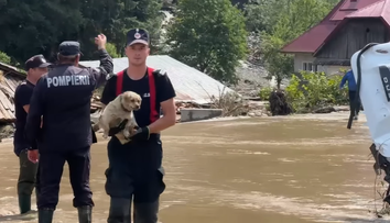 Imagine emoţionantă surprinsă la Broşteni, Suceava, în timpul inundaţiilor. Un pompier a scos din apă un cățel