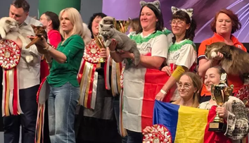 O pisică din România a fost desemnată cea mai frumoasă din Europa. Cum arată Kira Kiralina, supranumită  „ursoaica din Bucovina”