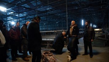 Bebe Măcelaru, mesaj dur pentru Costoiu, diseară, în CLANUL: „Ți-am arătat-o cheală ca să știi că e capul ei când dai de el în portbagaj”
