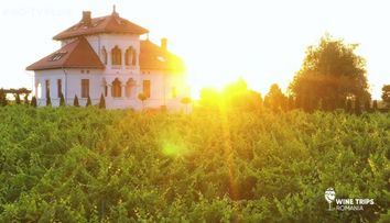 Wine Trips România | Descoperind vestitul Negru de Drăgășani la Crama Avincis