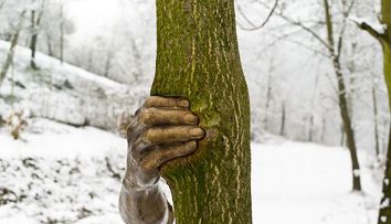 Aceasta sculptura a fost prinsa de un copac in anul 1968. Cum arata acum 