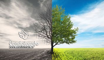(P) Beneficiază de o modalitate simplă și eficientă de a găsi servicii funerare de calitate aproape de tine!