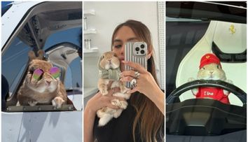 Faceți cunoștintă cu Reesy, iepurașul influencer cu aproape 1 milion de urmăritori și o garderobă de peste 10.000 de dolari