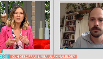 Ce vor să ne transmită animalele prin comportamentul lor. Iată răspunsurile lui Vlad Vancica, psiholog canin