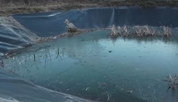 Tragedie într-o familie din Sighișoara. Două surori, în vârstă de 2 și de 4 ani, au murit după ce au căzut într-un lac. Cea mare a încercat să o salveze pe cea mică