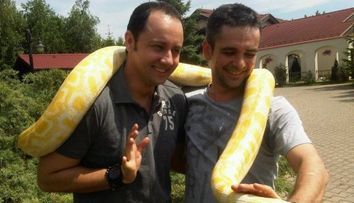 Catalin Maruta s-a pomenit cu un piton de 30 de kilograme pe umeri! Afla AICI de ce!