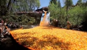 VIDEO / Ultima nebunie: 100.000 de rate de plastic s-au intrecut pe apa in Ohio!