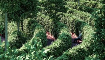 Austriecii construiesc un parc care le va permite oamenilor să iasă la aer fără a încălca distanțarea socială