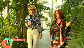 Paradis tropical în mijlocul Bucureștiului! Locul spectaculos pe care îl poți vizita gratuit! Puțini știu de acesta