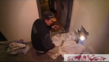 Se auzeau zgomote ciudate din perete, dar nu au banuit niciodata ca vor descoperi asa ceva. Ce au gasit