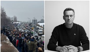 Adevărul despre moartea lui Alexei Navalnîi: a fost otrăvit cu toxina unei broaşte. Otrava este de 200 de ori mai puternică decât morfina: Victimele se sufocă în agonie