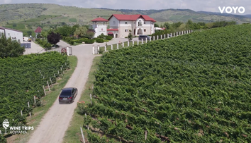Wine Trips România, sezonul 4 | În căutarea unicornilor din basme la Licorna Winehouse
