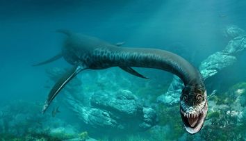 Monstrul din Loch Ness, filmat cu o dronă? Ce a surprins un turist în timp ce făcea canotaj în Scoția