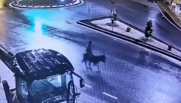 Mai ceva ca-n filmele americane! Un bărbat a dat spargere la un magazin de bijuterii și a fugit... pe un măgar. Imagini de la ”jaful secolului”