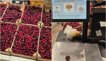 Un român a cumpărat o singură cireașă din supermarket. Cât a putut să plătească pentru ea la casa de marcat