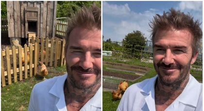 David Beckham, video viral de peste 31 de milioane de vizualizări pe Instagram! Cum s-a filmat în curte cu găinile lui: „Toate puicuțele aleargă după tine ca de obicei...”