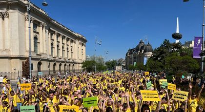 Big Little Festival, anunțat oficial printr-un flashmob-manifest pe Calea Victoriei, unde 800 de copii și părinți au dansat sincron