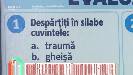 Alt Text!