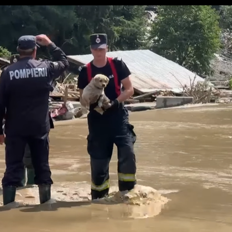 Captură de ecran 2025-07-29 135020