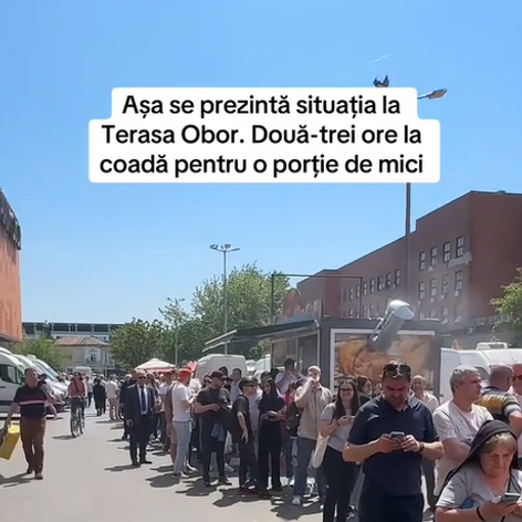 mici 1